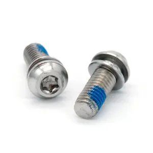 bild på Bultar till bromsok (Torx T25) 2-pack från Galfer