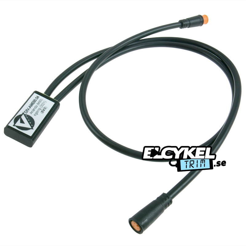 Division Ebike (egoing, Ananda M80) EVO